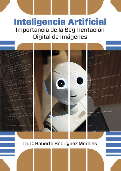 Inteligencia artificial segmentación digital de imágenes (Libro)